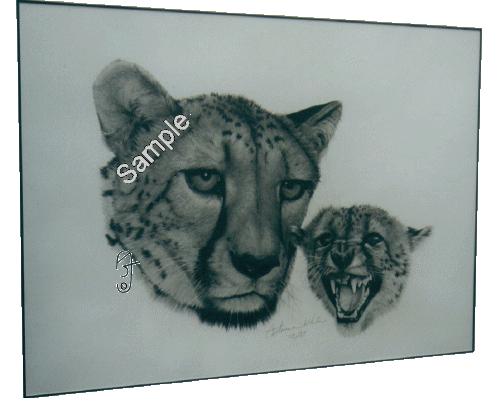 Cheetah/Cheetah